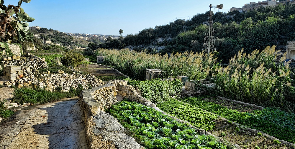 Que ver y hacer en la isla de Gozo