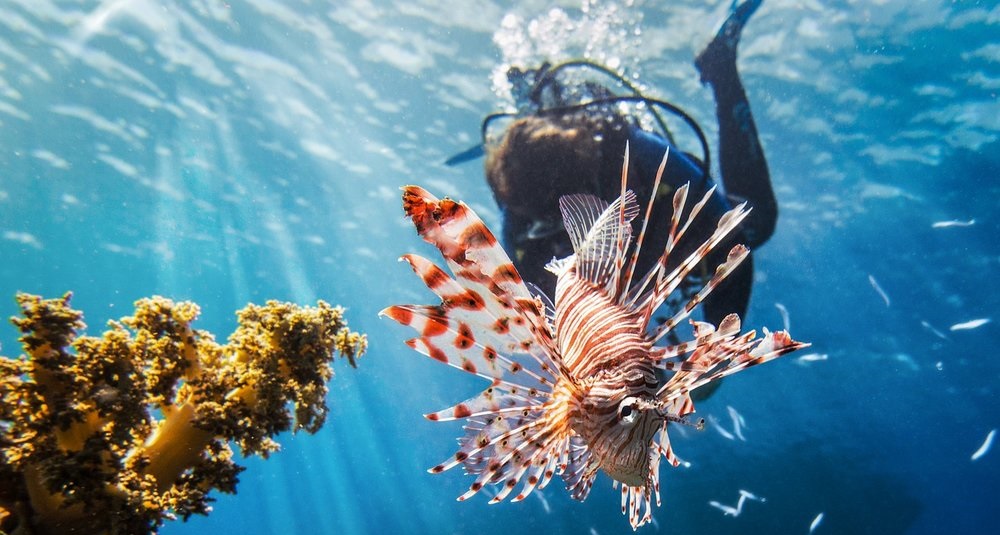 a diving experience in malta