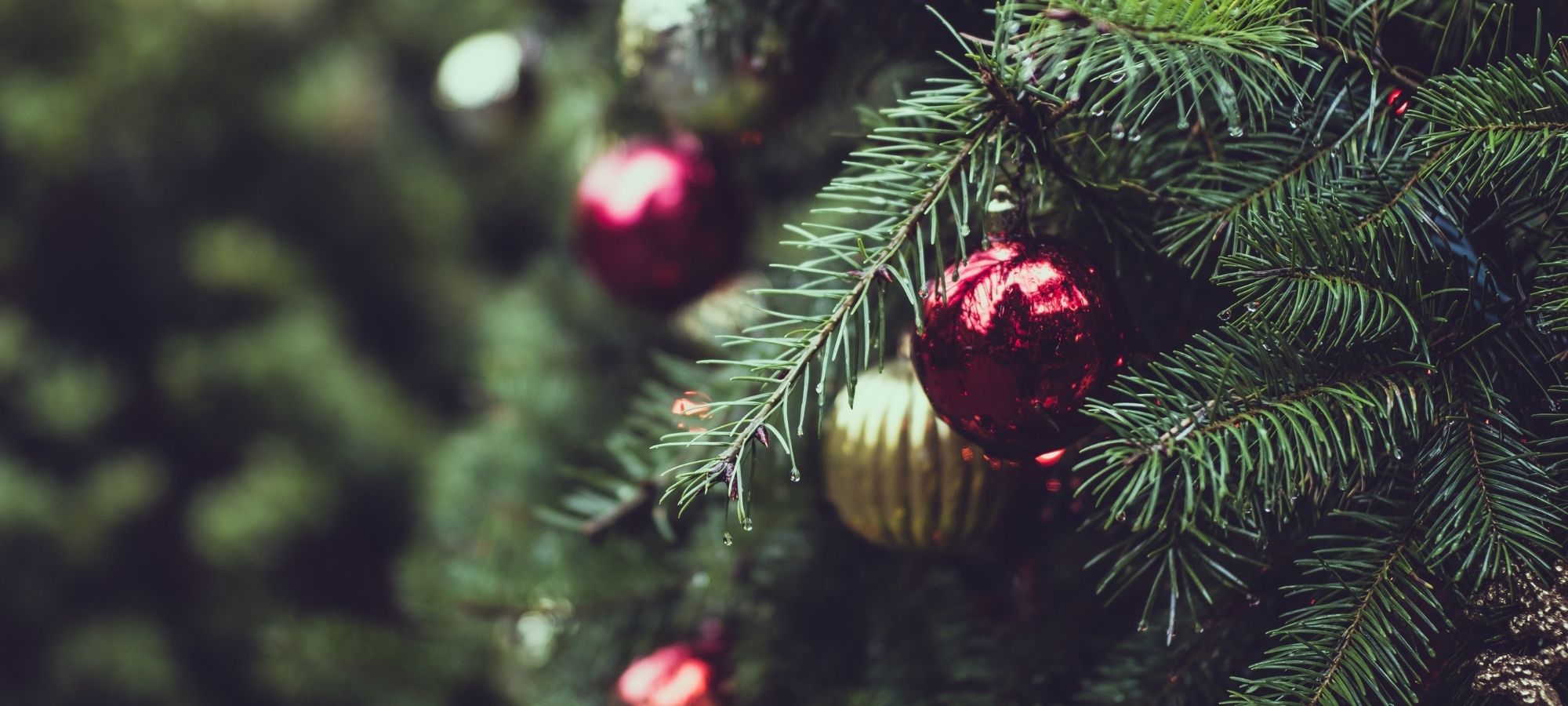 The best Christmas songs in English for parties